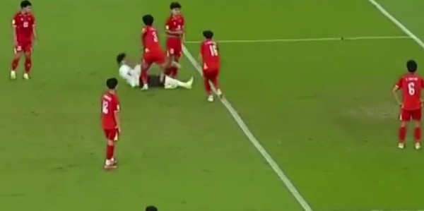 九游体育-输不起!拳打拜合拉木越南球员向球迷道歉,未向拜合拉木和国足致歉