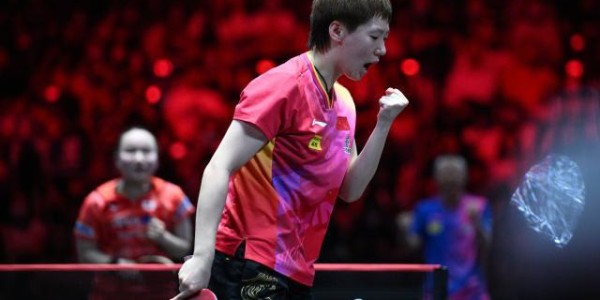 国乒修改奥运选拔标准 女乒包揽大满贯四强